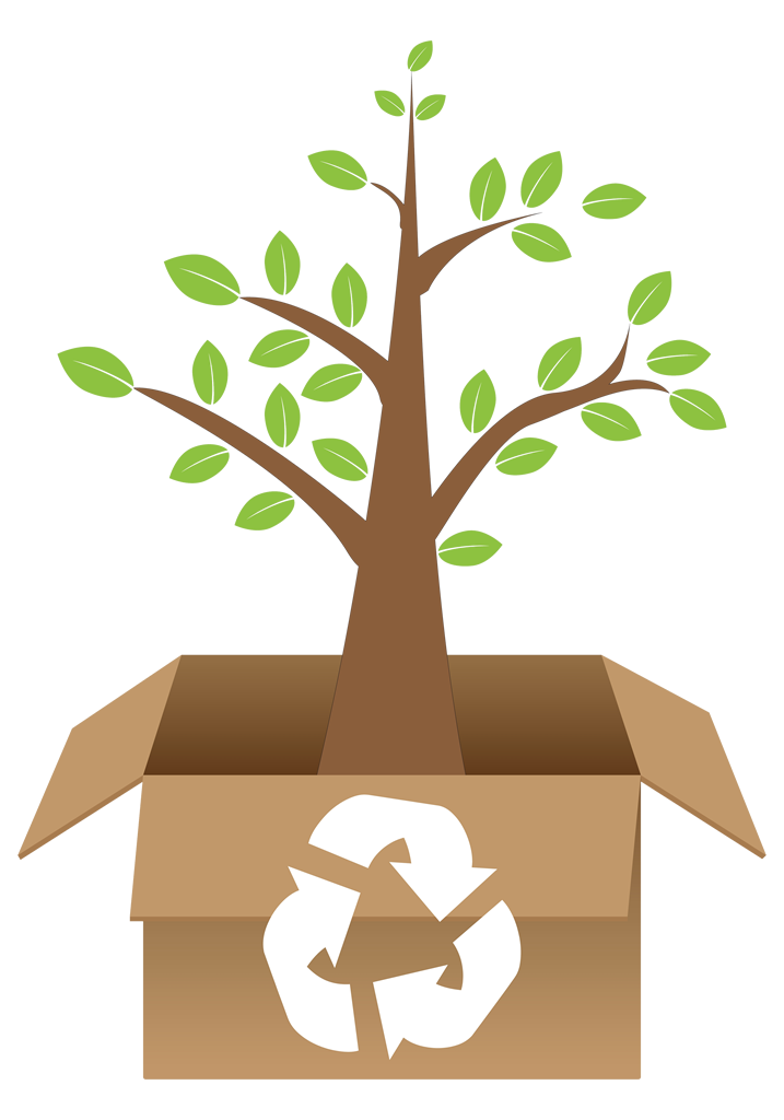 tree-green-leaves-inside-open-brown
